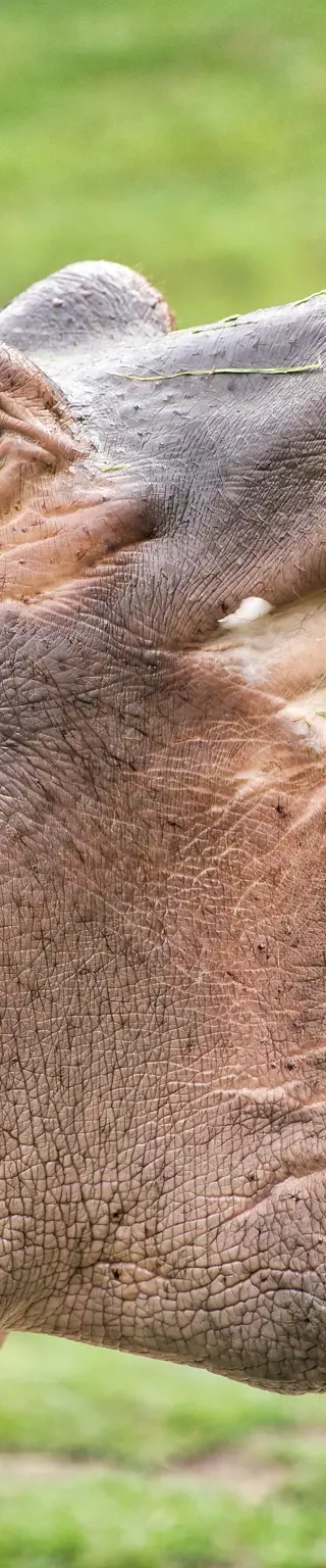 Erkunde den einzigartigen Isimangaliso Nationalpark
